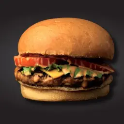 Grilled Chicken Burger